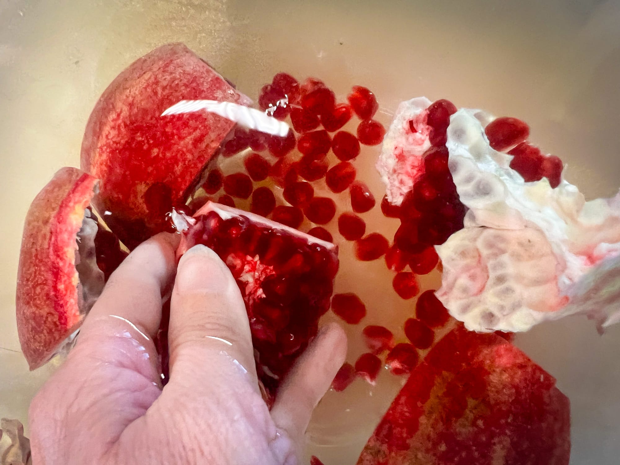 A hand is holding a submerged chunk of the pomegranate, which has rows of small, jewel-like seeds still attached. The thumb is pushing the seeds off.